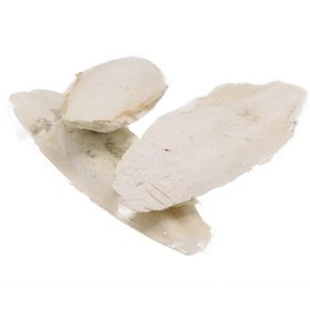 تصویر کف دریا 