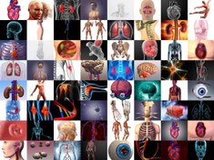 تصویر مجموعه 352 عکس با کیفیت شاتر استوک با موضوع آناتومی و بدن انسان 