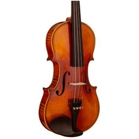 تصویر ويولن فونيکس OVP206 E سايز 4/4 