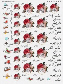 تصویر ترانسفر ادویه کد 294 