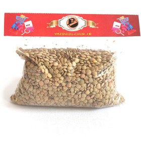 تصویر عدس درشت کانادایی 