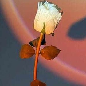 تصویر نور RGB- SUNSETLIGHT 