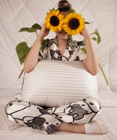 تصویر بالشت سی کاس 