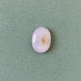 تصویر سنگ شجر کد 40031 