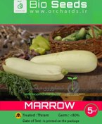 تصویر بذر كدو خورشتي Bio Seeds 