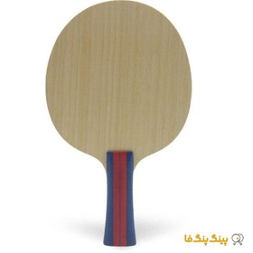 تصویر چوب راکت بائوم اسپریت Donic Table Tennis Blade Model Baum Esprit