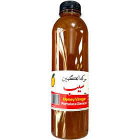 تصویر سرکه انگبین سیب (850گرمی) 