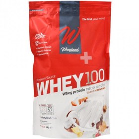 تصویر پودر وی ۱۰۰ وی لند ۱۰۰۰ گرم Wheyland Whey ۱۰۰ Powder ۱۰۰۰ g