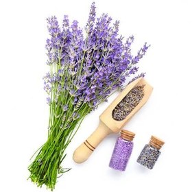 تصویر بذر اسطوخودوس 