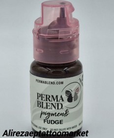 تصویر رنگ FUDGE 