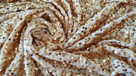 تصویر مخمل پولکی 