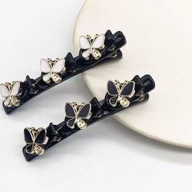 تصویر گیره تقسیم پروانه 