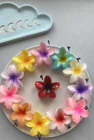 تصویر کلیپس پلومریا ۸سانتی - کد۷ 