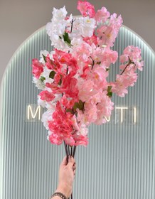 تصویر شکوفه بهاری پر گل 