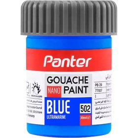 تصویر گواش 12 رنگ نانو پوشرنگ سری آیکونیک پنتر 