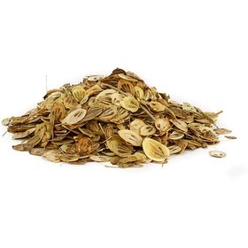 تصویر دانه گلپر 