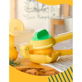 تصویر آبمیوه گیری سیتروس 