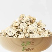 تصویر شیر خشت 