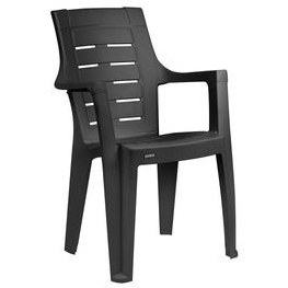 تصویر صندلی پلاستیکی پولاد دالتون زبرا ۲۰۳ Dalton chair (zebr)203