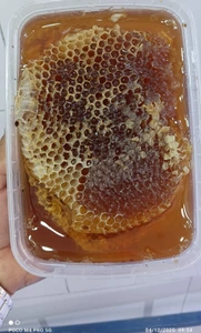 تصویر فروشگاه خرما لطیفی