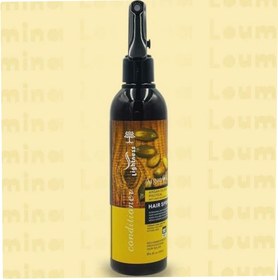 تصویر اسپری دوفاز وروغن ارگان 