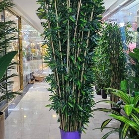 تصویر شاخه بامبو ۲ متری کم تراکم 