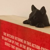 تصویر بوک مارک گربه 