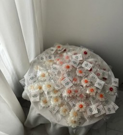 تصویر گل بابونه 