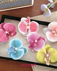 تصویر گیره انبری ارکیده 