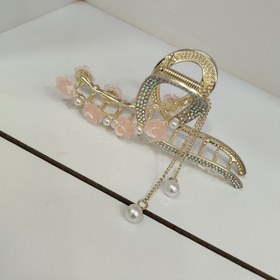 تصویر کلیپس طرح پاپیون 