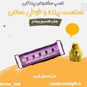 تصویر لامپ مخصوص پرنده و طوطی سانان (اصل) طیف سفید افتابی 