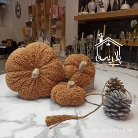 تصویر کدو پاییزه تدی نسکافه 19004 