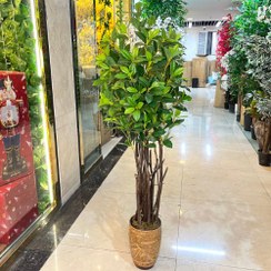 تصویر درختچه بونسای چای مصنوعی 