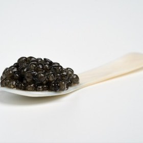 تصویر خاویار سوروگا کاسپیران خاویار 50 گرمی (SEVRUGA Caspiran Caviar 50 g) 