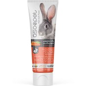 تصویر مالت مخصوص جوندگان طعم هویج برند آسوپت Asoo pet carrot anti hairball paste for rodent