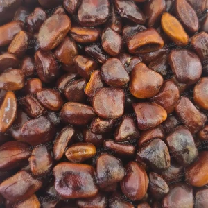 تصویر فروشگاه عطارخوب