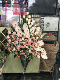 تصویر گل جام 