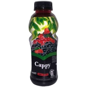 تصویر آبمیوه کاپی Cappy, Forest Berry Juice با طعم انواع توت 500 میل تاریخ 2024/04 