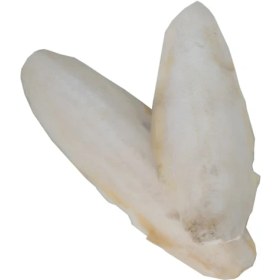 تصویر کف دریا کد irc100 وزن 100 گرم 