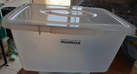 تصویر جانونی کوچک 