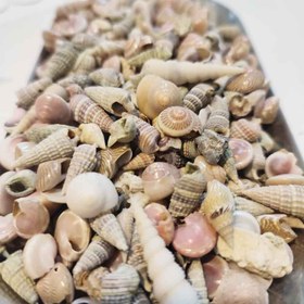 تصویر صدف میکس 