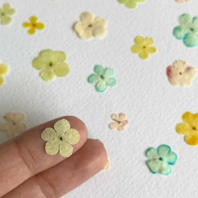 تصویر گل خشک بداغ رنگی بسته 20 عددی 