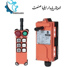 تصویر ریموت کنترل TELECRANE F21-E1 