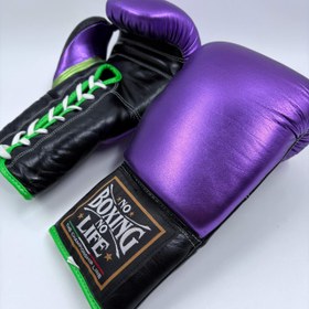 تصویر دستکش بوکس 