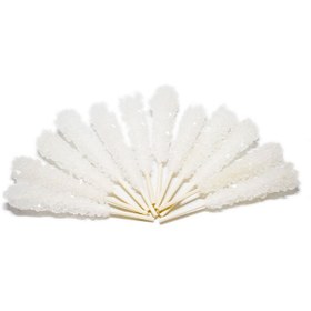 تصویر نبات نی دار سفید 