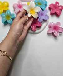 تصویر کلیپس بزرگ پلو مریا - سفید 