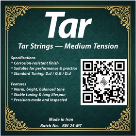 تصویر سیم تار باروک 