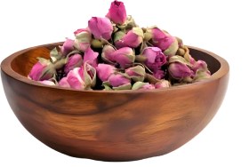 تصویر گل غنچه 