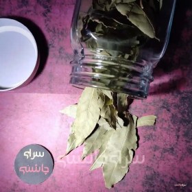 تصویر برگ بو 