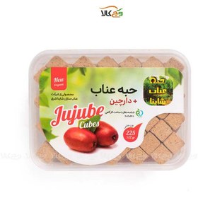 تصویر حبه عناب و دارچین شاینا - 160گرمی 